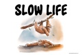 Slow life 50 30 10 ville