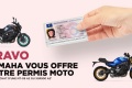actualites
