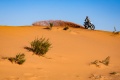 Dakar Benavides 6e étape