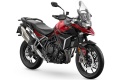 Trail Triumph Tiger 900 GT