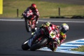 WSBK doublé Bautista Australie
