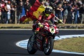 WSBK faute Bautista Australie