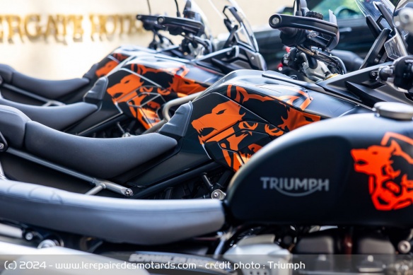 Tiger et Scrambler ont été customisées pour accompagner le lancement du jeu