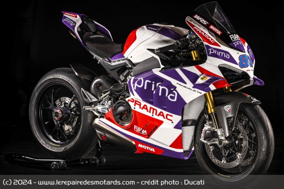 Ducati Panigale V4 Martin 2023 Racing Replica Ducati Panigale V4 Martin 2023 Racing Replica