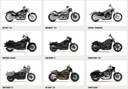 Harley-Davidson cruiser