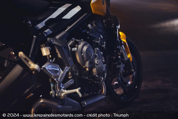 Roadster Triumph Trident 660 2025
