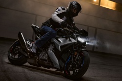 Roadster BMW M 1000 R 2025