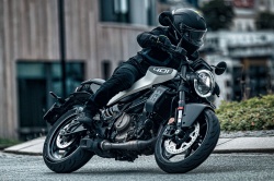 Roadster Husqvarna Vitpilen 401 2024
