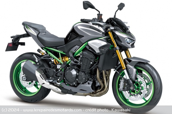 Roadster Kawasaki Z900 SE 2025 Roadster Kawasaki Z900 SE 2025