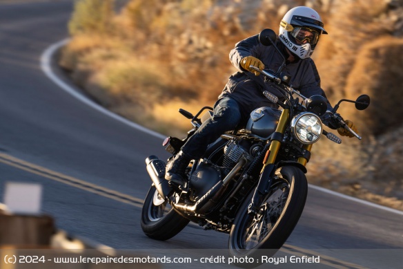 Scrambler Royal Enfield Bear 650 Golden Shadow