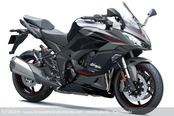 Sport tourer Kawasaki Ninja 1100SX SE Sport tourer Kawasaki Ninja 1100SX SE