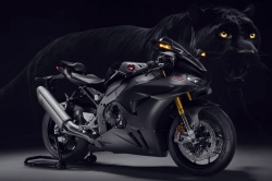Sportive Honda CBR1000RR-R SP Carbon Edition