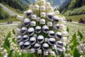1er mai  muguet  bonheur libert  moto