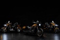 Customs Harley Davidson Tobacco Face