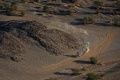 Dakar   3e succs Cornejo