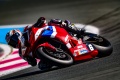 Honda dbarque WSBK