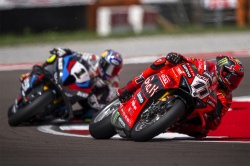 WSBK : Bulega vainqueur en Italie - Crédit photo : Ducati