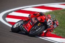 WSBK : Bulega en pole à domicile - Crédit photo : Ducati