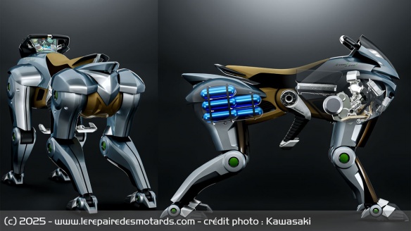 Le Concept Kawasaki CORLEO