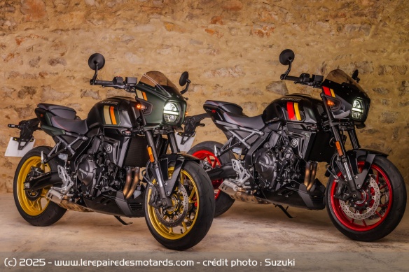Café racer Suzuki GSX-8TT Café racer Suzuki GSX-8TT
