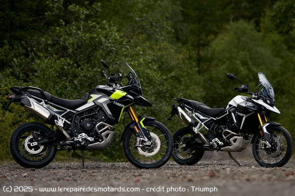 Trails Triumph Tiger 900 GT PRO et Rally PRO Trails Triumph Tiger 900 GT PRO et Rally PRO
