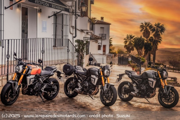 Néo-rétro Suzuki GSX-8T Néo-rétro Suzuki GSX-8T
