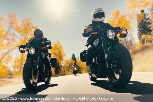 Roadster électrique LiveWire S2 Alpinista Roadster électrique LiveWire S2 Alpinista
