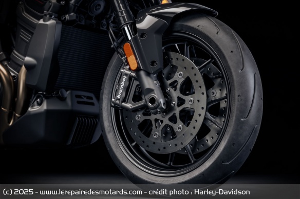 Trail Harley-Davidson Pan America 1250 ST