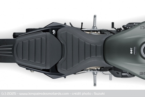 Néo-rétro Suzuki GSX-8T Néo-rétro Suzuki GSX-8T