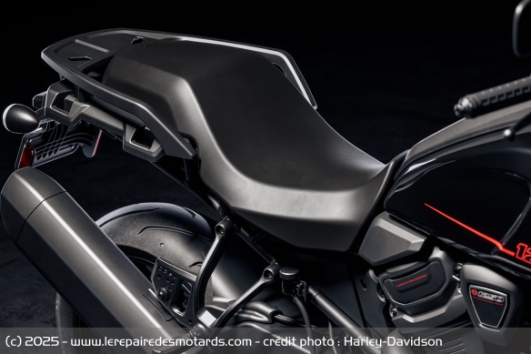Trail Harley-Davidson Pan America 1250 ST