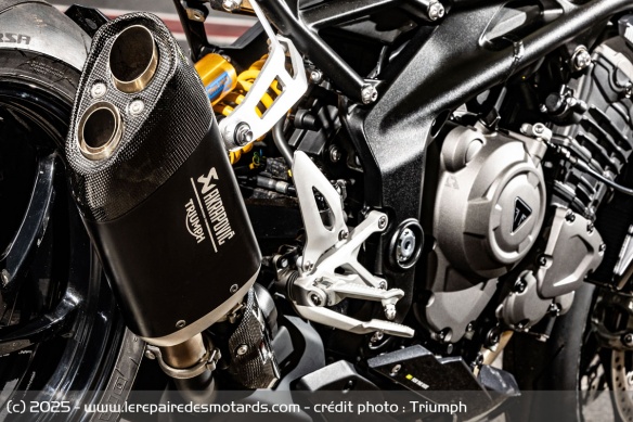 Roadster Triumph Speed Triple 1200 RX Roadster Triumph Speed Triple 1200 RX