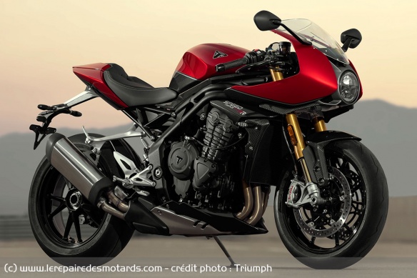 Le prototype présente une tête de fourche au design similiaire à celle de la Speed Triple 1200 RR Le prototype présente une tête de fourche au design similiaire à celle de la Speed Triple 1200 RR