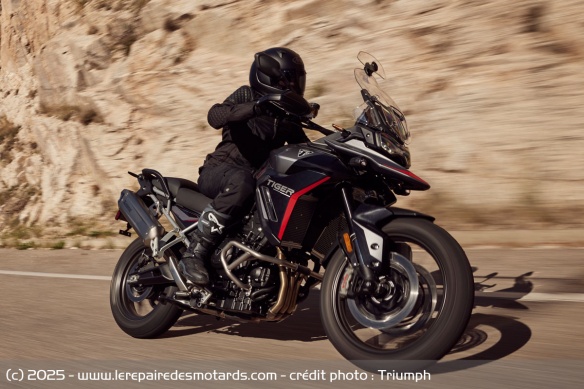 Trail Triumph Tiger 900 GT Pro A2