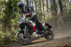 Trail Yamaha T&eacute;n&eacute;r&eacute; 700 World Raid