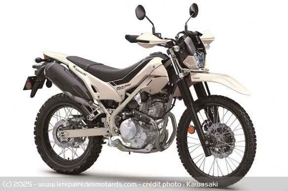 Kawasaki KLX230 Sherpas S