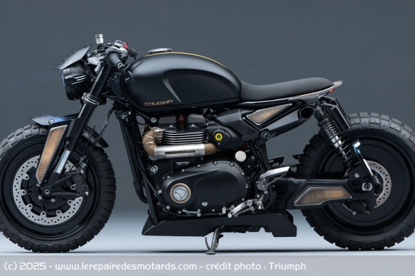 Triumph Originals - Br&eacute;sil