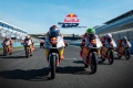 Documentaire   Young  Wild and Racers
