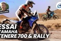Essai trails Yamaha T�n�r� 700 Rally