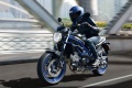 Fin parcours Suzuki SV650