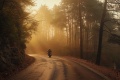 Chronique solitude à roues
