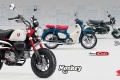 Nouveaut 2025 Motos Honda Dax Monkey 2025