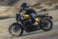 Scrambler Royal Enfield Bear 650 Wild Honey