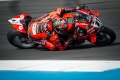 WSBK   Bulega domine  Assen