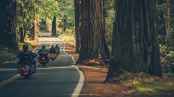 March&eacute; moto : Reprise confirm&eacute;e en Europe - Cr&eacute;dit photo : ACEM