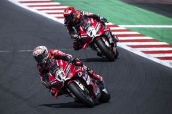 WSBK : Tripl&eacute; de Bulega &agrave; Misano - Cr&eacute;dit photo : Ducati