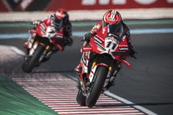 WSBK : 16 victoires cons&eacute;cutives pour Bulega - Cr&eacute;dit photo : Ducati