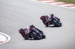 WSBK : Lecuona met fin &agrave; la s&eacute;rie de Bulega - Cr&eacute;dit photo : Ducati