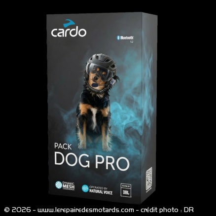 Cardo lance le Dog Pro, premier intercom moto d&eacute;di&eacute; aux chiens
