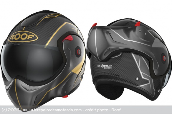 ROOF Boxxer 2 Carbon Paladin or et argent