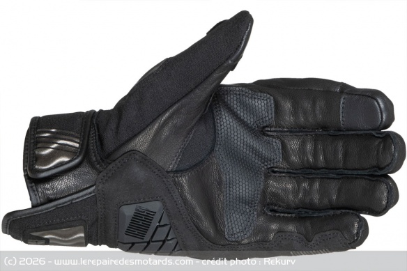 Gants Rekurv C-13.14